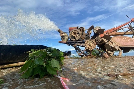 Hàng trăm máy bơm của nông dân trên toàn thành phố đã được huy động cứu lúa hè thu.