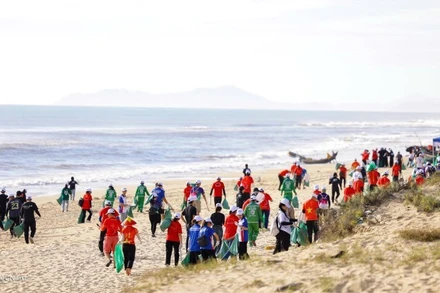 Các hoạt động thu gom rác trên bãi biển của dự án luôn thu hút nhiều người tham gia.