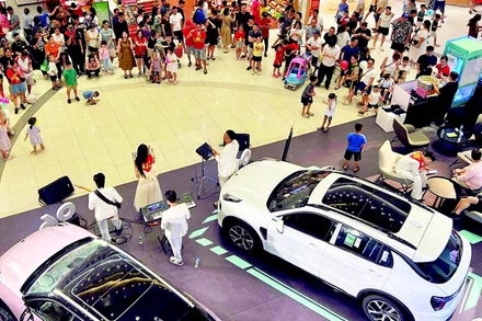 Nhiều trung tâm thương mại lớn được đưa vào hoạt động trong vùng Đồng bằng sông Hồng thời gian qua.