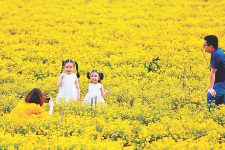 Mô hình kết hợp nông nghiệp hữu cơ - thảo dược bản địa - du lịch sinh thái tại Hợp tác xã RiTi thu hút du khách đến tham quan, trải nghiệm.