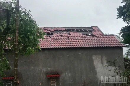 Trận lốc xoáy với cường độ mạnh bất ngờ quét qua khiến 116 ngôi nhà của người dân ở xã Ba Vì (Quảng Ngãi) bị hư hỏng.