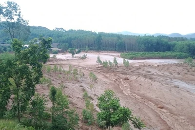 Bùn đất từ hồ chứa tràn xuống rừng trồng, cây cối của người dân ở phía dưới. (Ảnh: Thế Bình)
