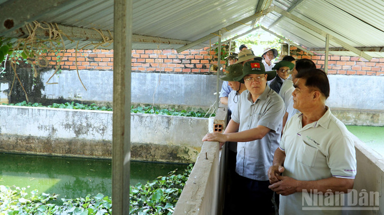 Một xã ven biển ở Cà Mau còn thiếu hàng chục biên chế ndo_br_tan-thuan-7-7522.jpg