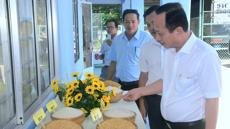 Phó Bí thư Tỉnh ủy, Chủ tịch Hội đồng nhân dân tỉnh Cà Mau Phạm Văn Thiều (bìa phải) tham quan khu trưng bày lúa, gạo BL9. (Ảnh: TẤN ĐẠT) thieu-8-4389.jpg