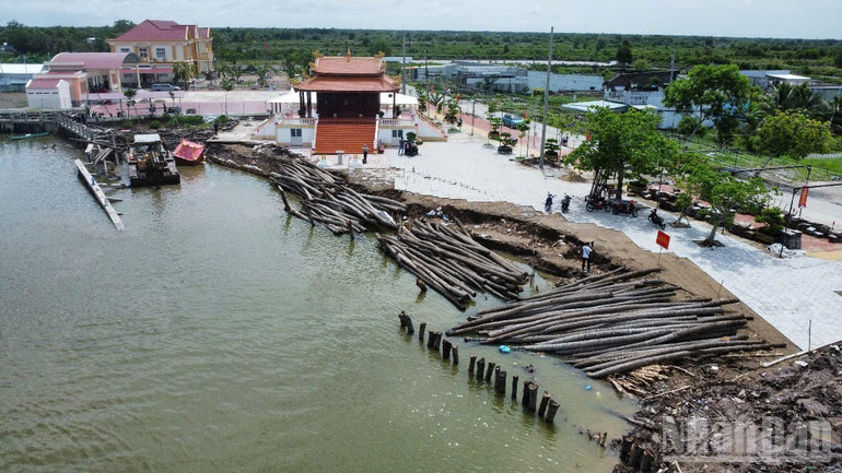 Khu vực sạt lở nghiêm trọng tại khu di tích Miếu bà Thủy Long (ấp Thanh Tùng, xã Thanh Tùng, tỉnh Cà Mau) vào rạng sáng 16/6. ndo_br_anh-3-3577.jpg
