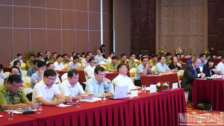 Gia cố “lá chắn xanh” cho mục tiêu tăng trưởng xanh vùng Đồng bằng sông Cửu Long rung-4-3029-2155.jpg