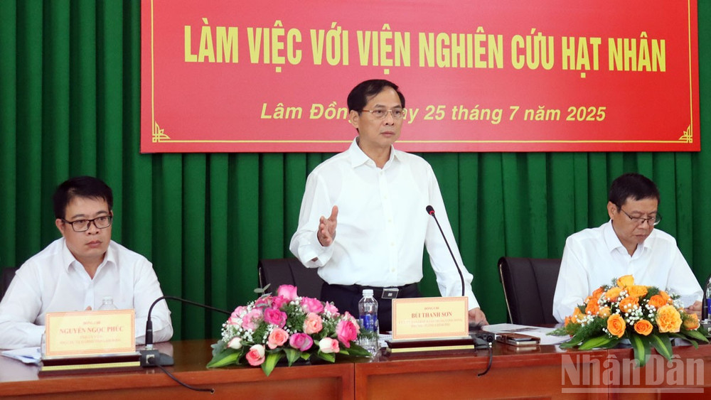 Phó Thủ tướng Bùi Thanh Sơn phát biểu ý kiến tại buổi làm việc. ndo_br_6.jpg