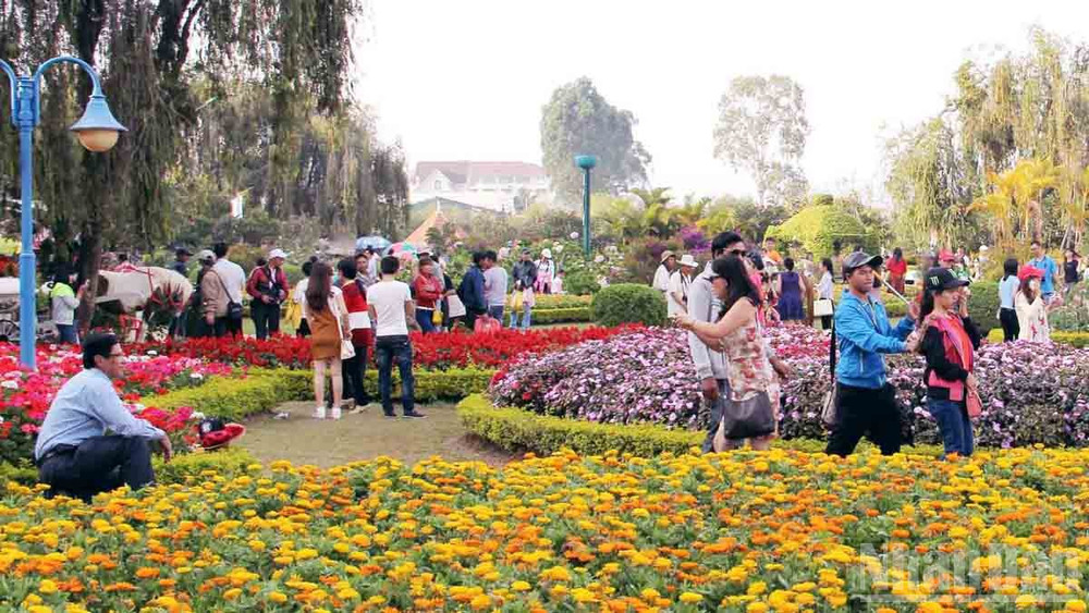Du khách trải nghiệm vườn hoa trên địa bàn phường Lâm Viên, Đà Lạt.