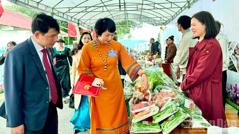 Công tác tổ chức giới thiệu thành tựu kinh tế-xã hội, tiềm năng, lợi thế của địa phương tạo ấn tượng với đại biểu. ndo_br_14-lac-duong.jpg