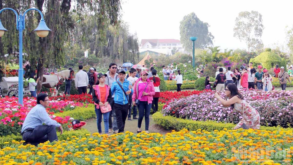 Du khách trải nghiệm Lâm Đồng ngàn hoa. ndo_br_18.jpg