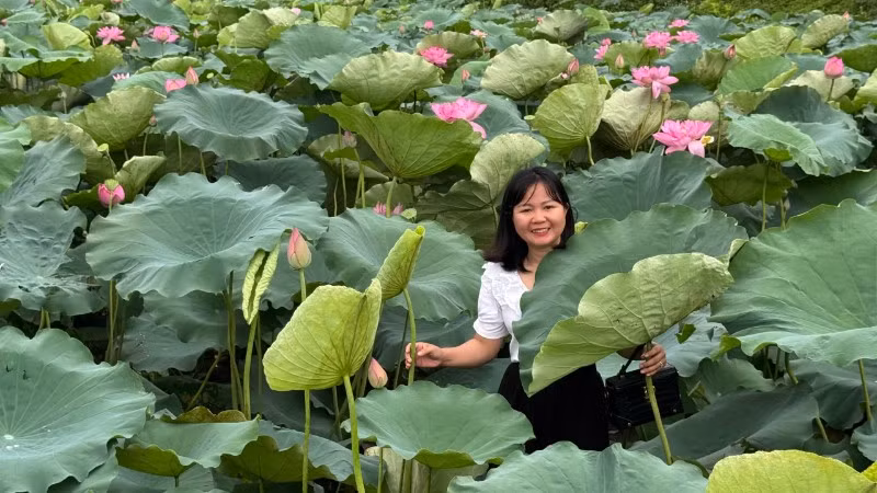 Các đầm sen của Bắc Ninh là địa điểm được nhiều người lựa chọn chụp ảnh, lưu giữ kỷ niệm.