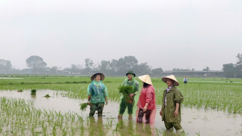 Lãnh đạo phường Tam Sơn, tỉnh Bắc Ninh, xuống đồng, động viên bà con sản xuất đầu năm.
