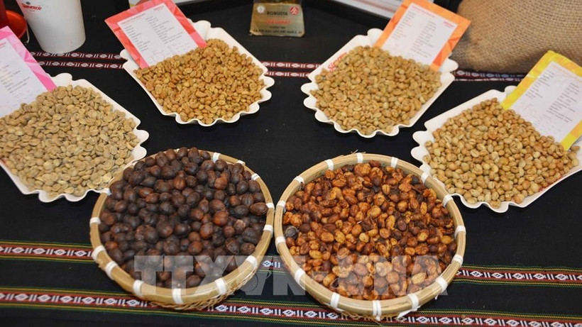Cà-phê đặc sản Việt Nam. (Ảnh: HOÀI THU/TTXVN)