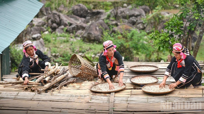 Phụ nữ Hà Nhì ở bản Pa Pảng vẫn đối mặt rào cản bình đẳng giới. (Ảnh: VŨ LINH)