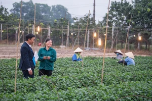 Đồng hành, chia sẻ cùng phụ nữ nghèo, yếu thế