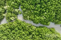 Cần Giờ nổi tiếng với mạng lưới sông ngòi chằng chịt và hệ động thực vật phong phú. Nơi đây được xem như "lá phổi xanh" của Thành phố Hồ Chí Minh, góp phần điều hòa khí hậu và bảo vệ môi trường tự nhiên.