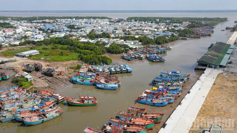 Đồng Tháp Khai Thác Tiềm Năng Biển: Từ Thủy Sản Đến Năng Lượng Tái Tạo