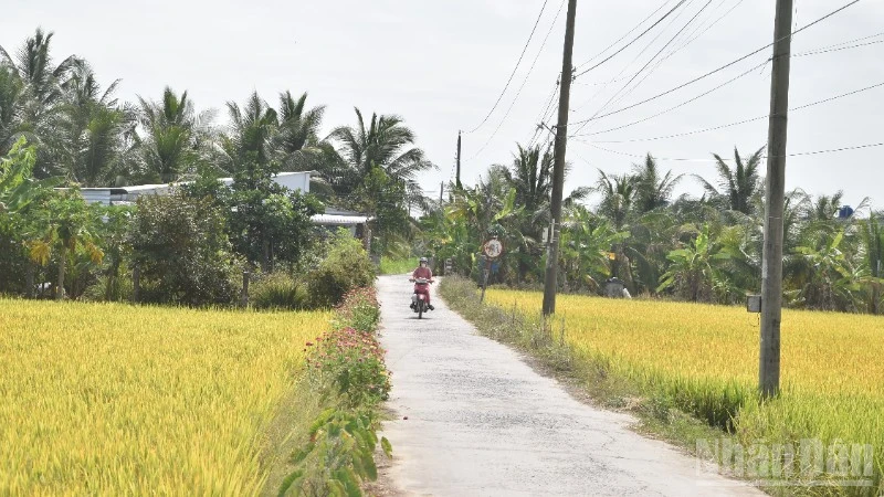 Kinh tế nông thôn ĐBSCL: Từ hạn chế hộ nhỏ lẻ đến cơ hội phát triển đa chức năng