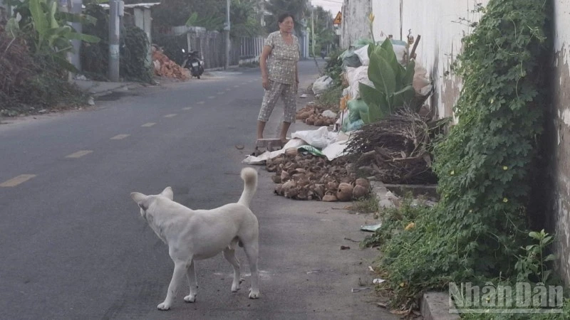 Đồng Tháp: Người buôn thịt chó tử vong vì bệnh dại dù không bị cắn