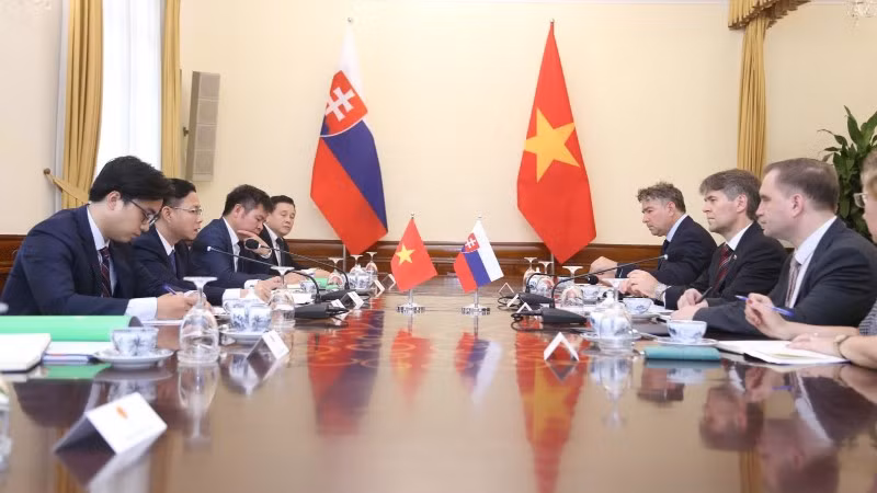 Tham vấn chính trị Slovakia-Việt Nam. (Ảnh: BNG)