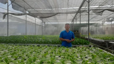 Hợp tác xã Nông nghiệp Tuấn Ngọc tiên phong ứng dụng công nghệ thông tin trong trồng rau thủy canh.