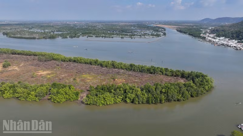 Đầm Đông Hồ nhìn từ trên cao. (Ảnh: HỒNG ĐIỆP)