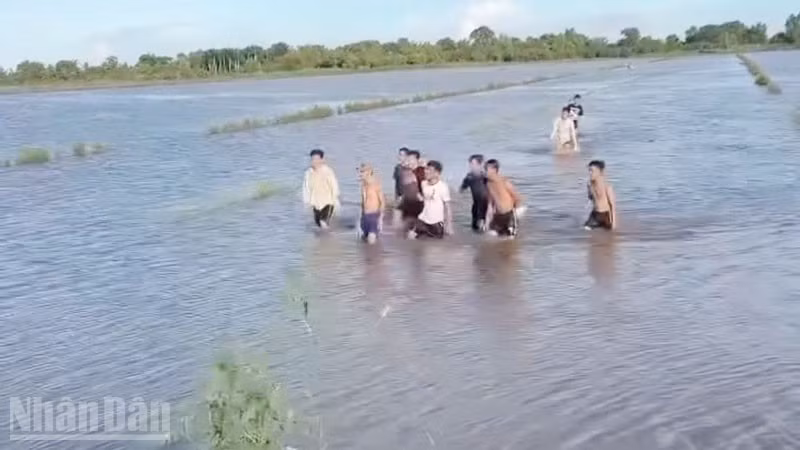 Học viên cai nghiện băng qua cánh đồng trốn theo nhiều hướng. 