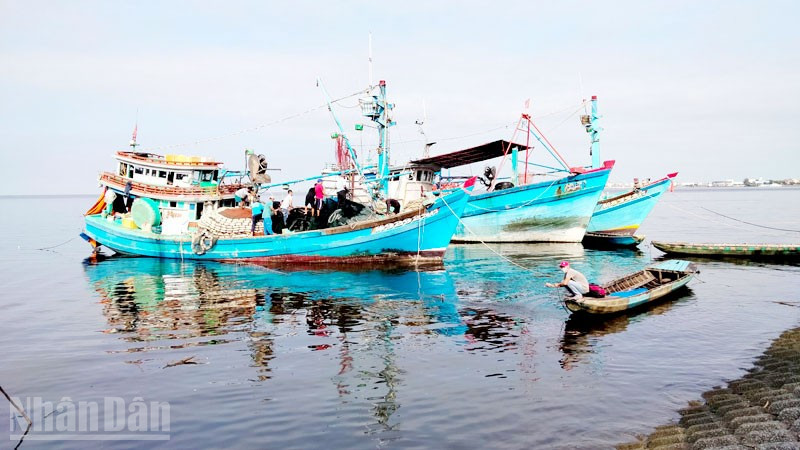 Tàu đánh bắt thủy sản neo đậu ở phường Rạch Giá, tỉnh An Giang.