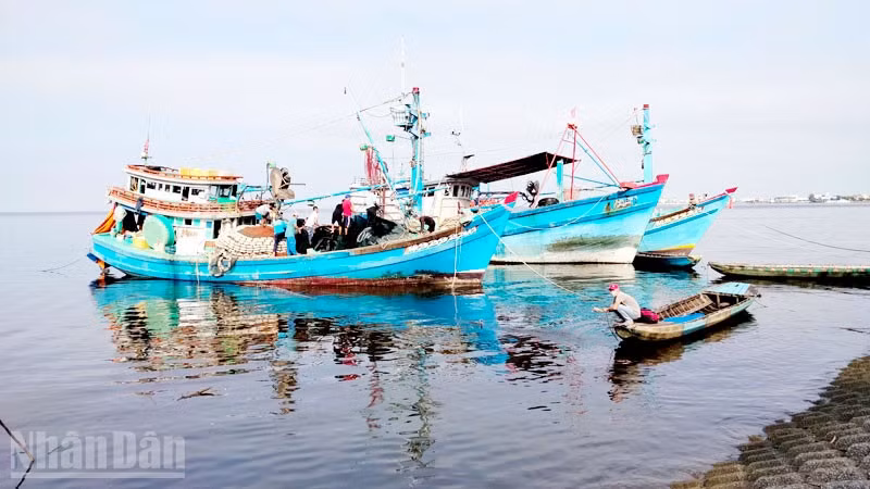 Tàu đánh bắt thủy sản neo đậu ở phường Rạch Giá, tỉnh An Giang.