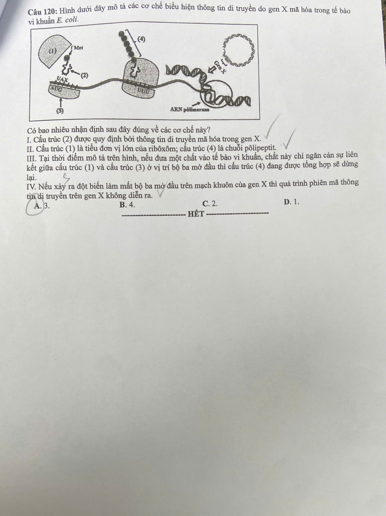 z6748654120689-8af69a5b328e83ca534eede8c7c565e3.jpg