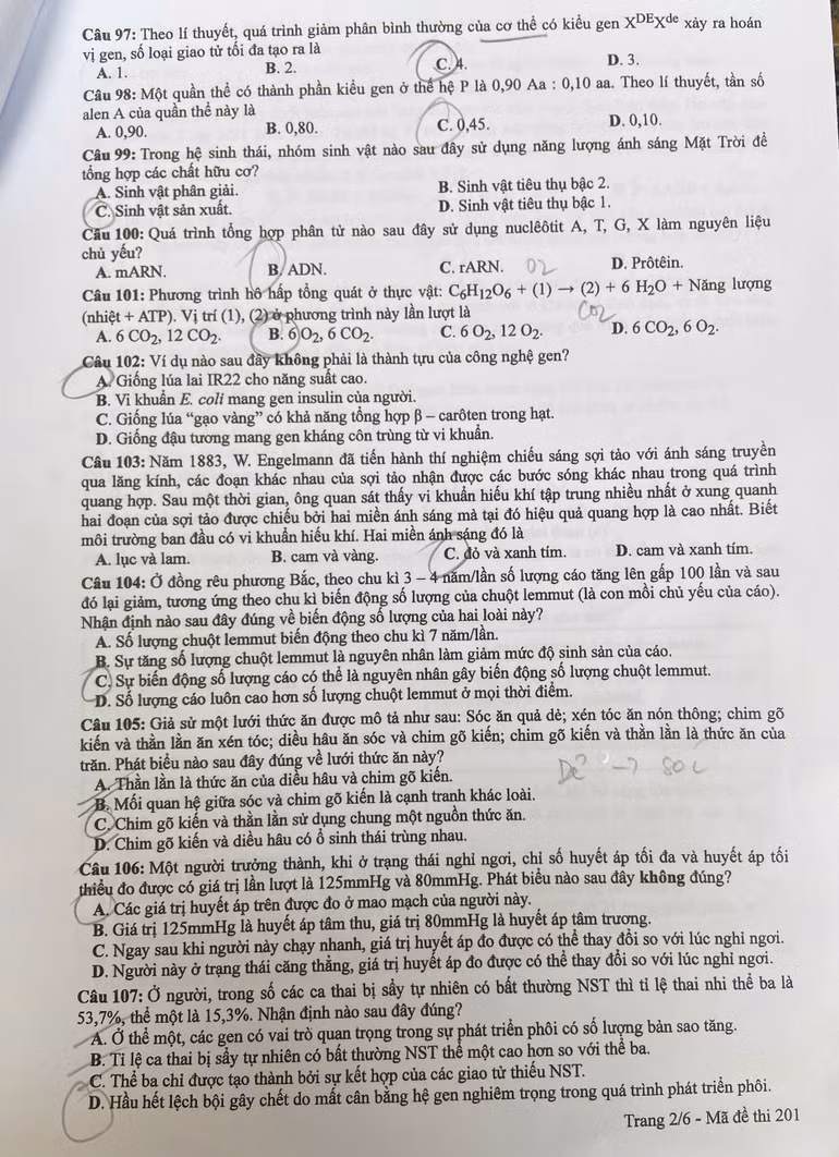 z6748654304676-ec3471f4dff9325d39f06db8326535f3.jpg