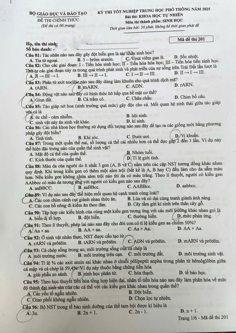 z6748653920307-a600399a842539d713017ba5e9a8b88e.jpg