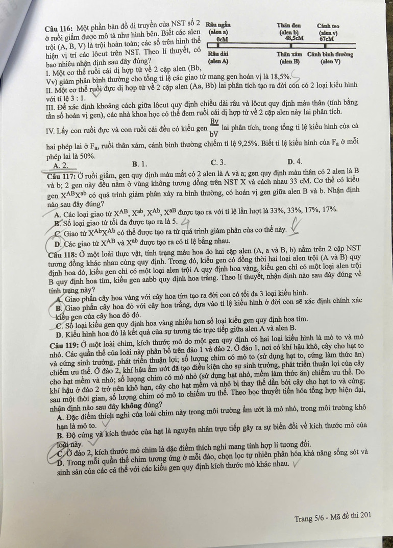 z6748654199333-e59c1beb9479786f740f7182a6a6bbea.jpg