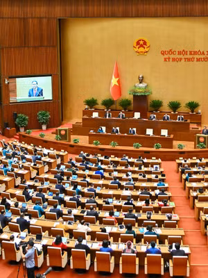 Quốc hội Việt Nam