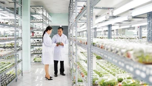 Phòng nuôi cấy mô cây giống, Khu Nông nghiệp công nghệ cao Thành phố Hồ Chí Minh.