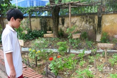 Một góc vườn trường tuần hoàn của Trường trung học cơ sở Nam Trung Yên. (Ảnh NGÂN ANH)