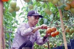 Lâm Đồng tiến hành rà soát, xác định nông hộ có mức sống trung bình.