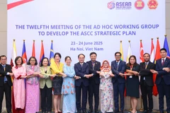 Đại diện Đoàn đại biểu các nước thành viên chụp ảnh tại Cuộc họp. (Ảnh: MOHA)