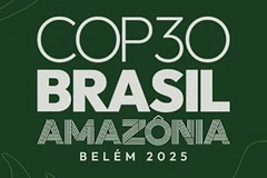 Ảnh https://cop30.br.