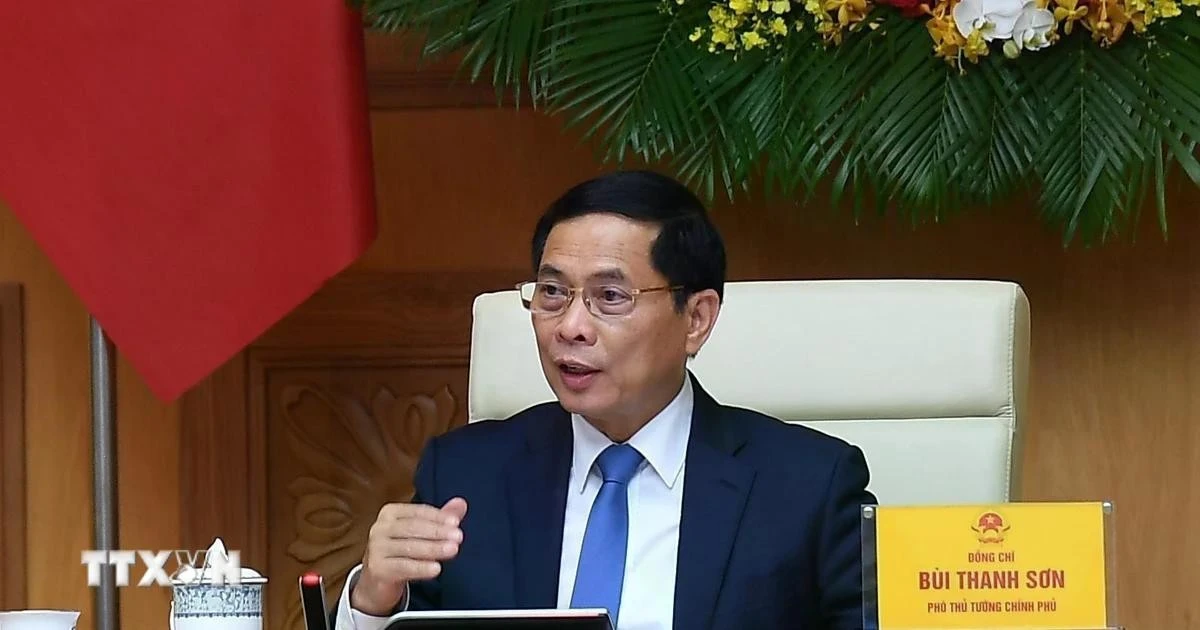 Phó Thủ tướng Bùi Thanh Sơn phát biểu tại buổi tiếp các chuyên gia, nhà khoa học. (Ảnh: TTXVN)