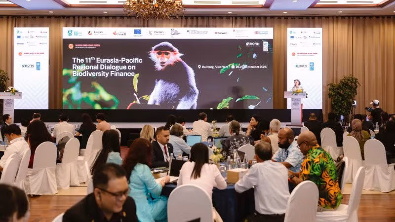 Đối thoại khu vực về tài chính đa dạng sinh học diễn ra tại Đà Nẵng.