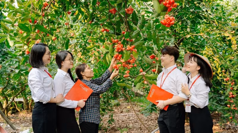 Nữ cán bộ, người lao động Agribank luôn cố gắng hoàn thành tốt nhiệm vụ chuyên môn ở các vị trí công tác khác nhau