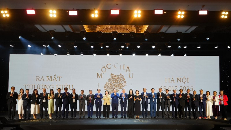 Khoảnh khắc “bình minh thương hiệu” khi logo Mộc Châu Creamery hiện lên trong ánh sáng dịu dàng, như một lời hẹn mở ra hành trình mới của dòng sữa truyền đời.