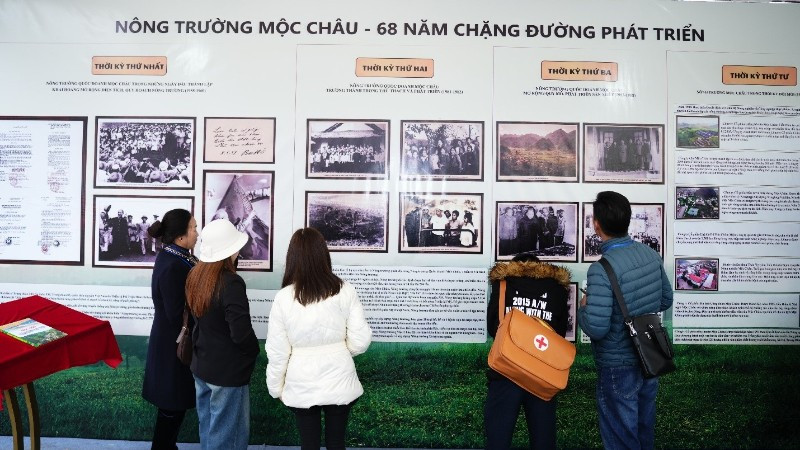 Hành trình gần 7 thập kỷ của những "nghệ nhân sữa" Mộc Châu