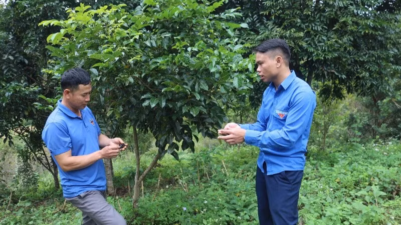 Đoàn viên thanh niên xã Nà Tấu về cơ sở tuyên truyền đến nhân dân lợi ích bảo vệ rừng để hưởng lợi từ dịch vụ môi trường rừng.