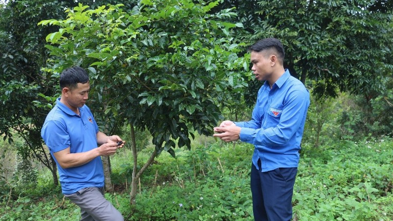 Đoàn viên thanh niên xã Nà Tấu về cơ sở tuyên truyền đến nhân dân lợi ích bảo vệ rừng để hưởng lợi từ dịch vụ môi trường rừng.