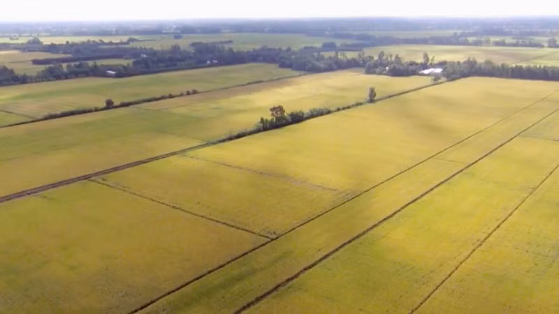 Phát huy vai trò giám sát chất lượng nguồn nước bảo đảm mục tiêu cung cấp nước sạch cho sản xuất và sinh hoạt