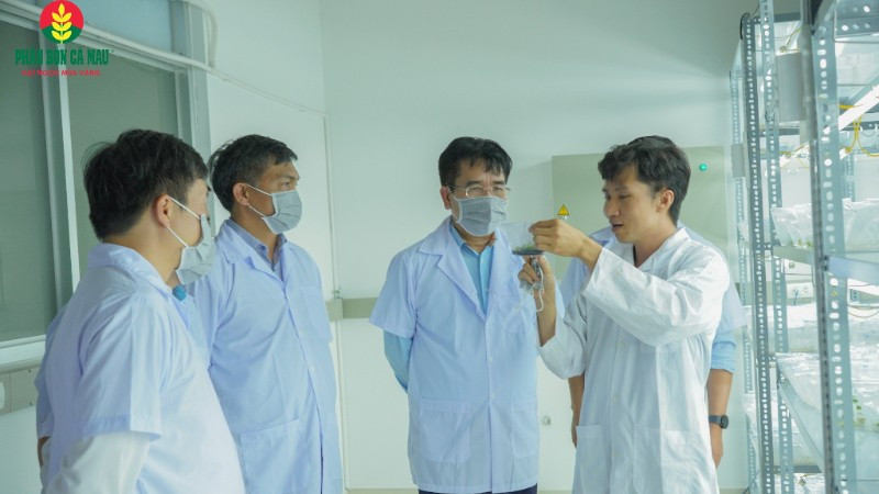 Lĩnh vực R&D là một trong những chiến lược được PVCFV ưu tiên đầu tư mạnh mẽ.
