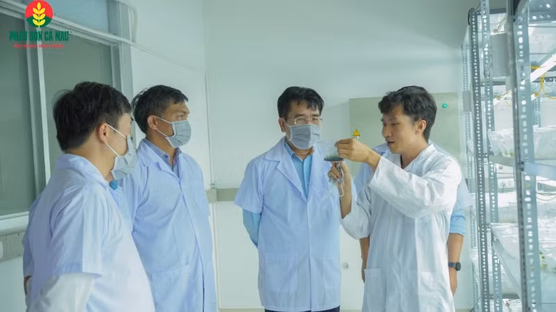 Lĩnh vực R&D là một trong những chiến lược được PVCFV ưu tiên đầu tư mạnh mẽ.