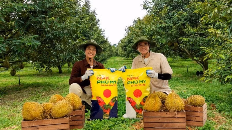 NPK Phú Mỹ ngày càng được cải tiến, hoàn thiện đáp ứng nhu cầu đa dạng của bà con nông dân.